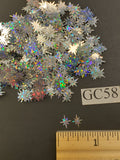 Exploding Star - Silver Holographic - STAR GLITTER