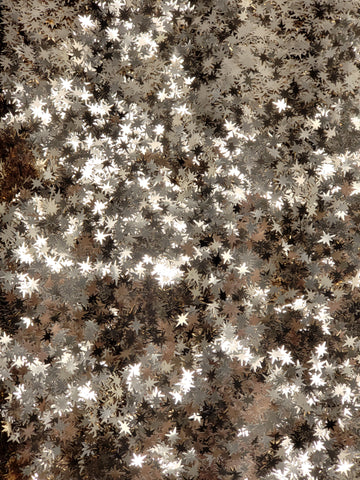 GLITTER - Exploding Star - Confetti
